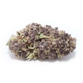 Purple-Haze-2-Bild