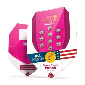 RQS - Green Crack Punch feminisiert - USA Premium - 25 Samen