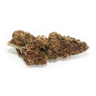 Purple-Haze-Bild